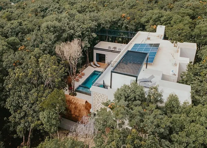 Jungle Retreat With Master * Puerto Morelos